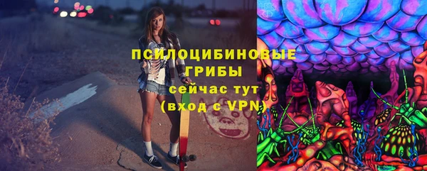 прущий лед Белокуриха
