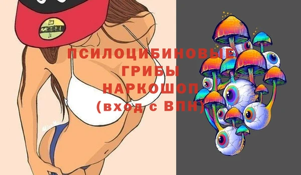 прущий лед Белокуриха