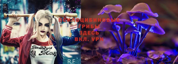 прущий лед Белокуриха
